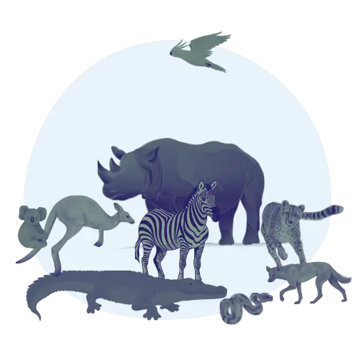 Caring for 1,200 animals