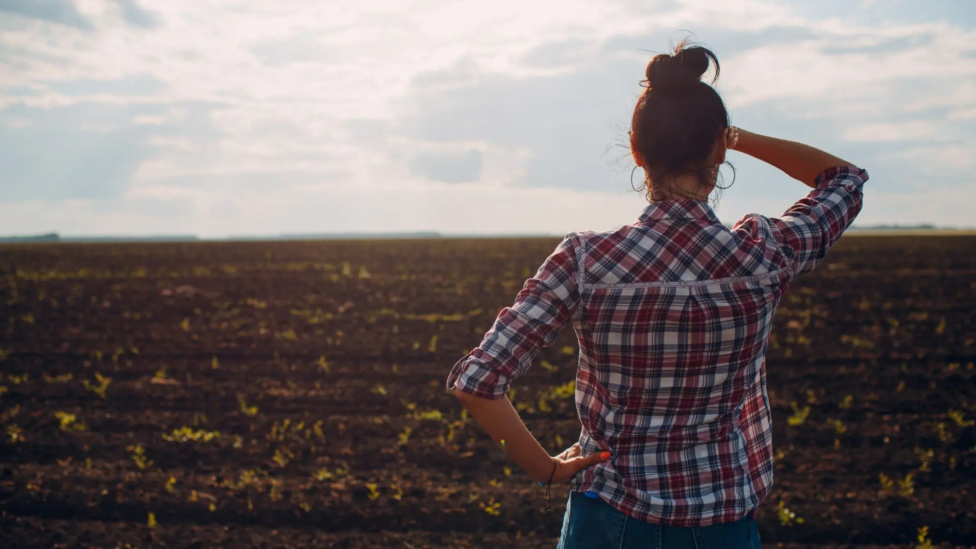 Female farmer in plaid shirt overlooking crop field at sunset – agricultural communications and rural connectivity
