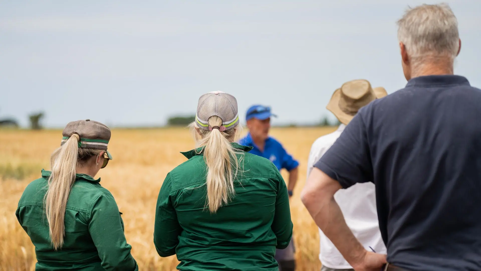 Group of farmers attending a field day in a wheat paddock – agricultural communications and regional connectivity in action